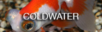 coldwater