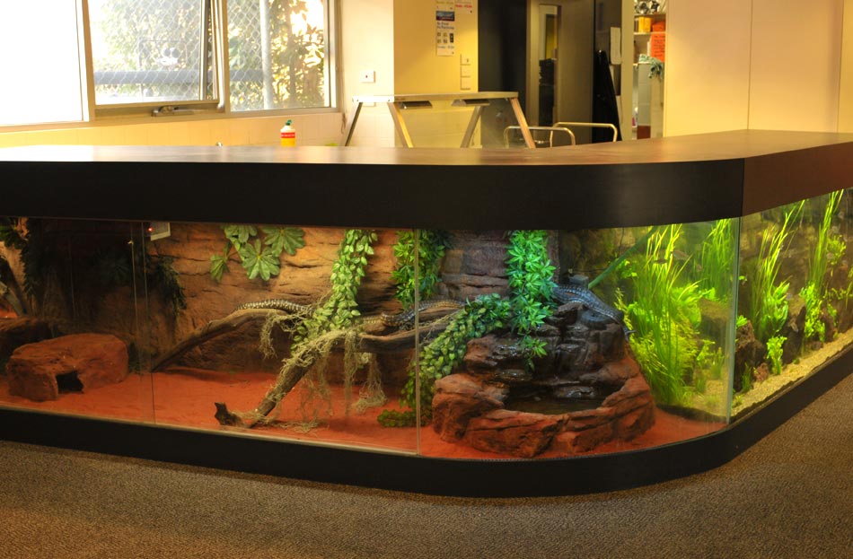 custom fish tank