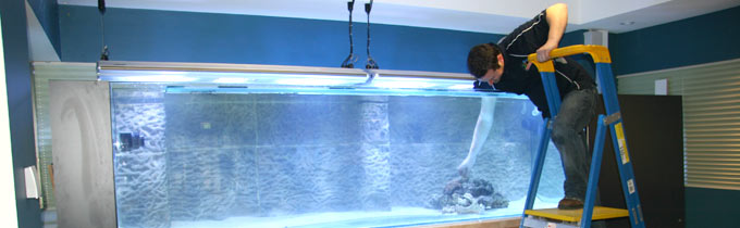 installing marine aquarium