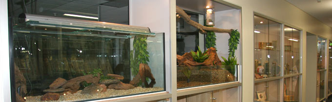 reptile enclosures