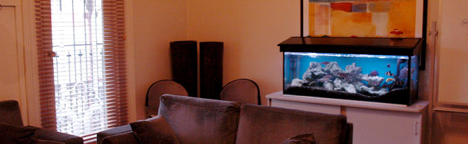 installed fish tank