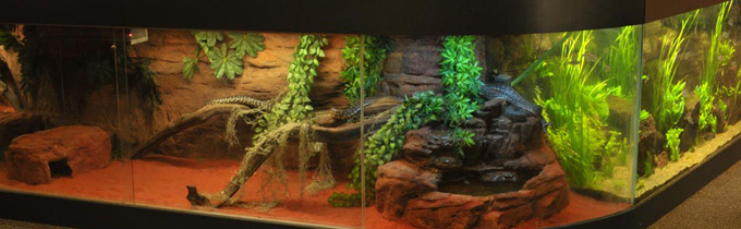 snake enclosure