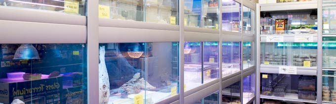 Coburg Aquarium reptile room