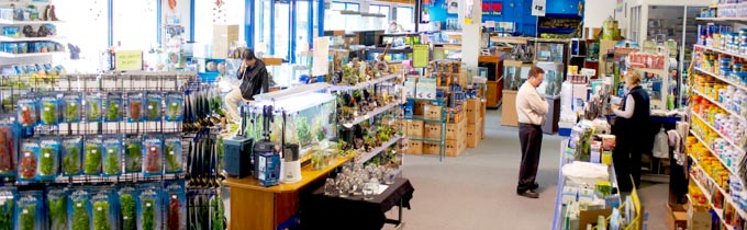 Coburg Aquarium show room