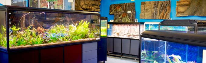 Coburg Aquarium show room