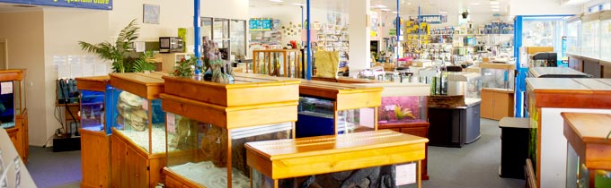 Coburg Aquarium show room